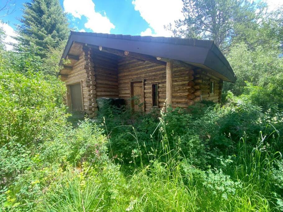 Aspen'S Cabin 윌슨 외부 사진